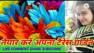 Summer seeds,flowerplants, Terrace Garden, Easy growing summer flowers,Kraft seeds,Best Summer Seeds