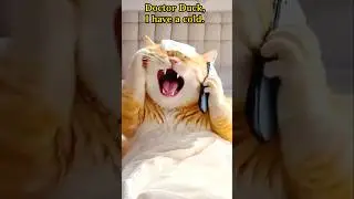 😭cat is sick need help | #aicat #animation #cartoonvideo #shorts