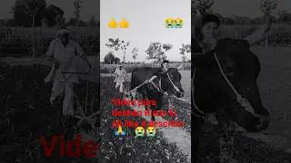 #goneviral #love #kisansangh #dancelove #comedyfilms #happy #dancemoves #comedymovies #snake 🙏👍😭😭🥀🇮🇳