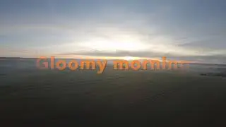 Gloomy Morning #gloomy #fpv #fpvaddiction #fpvclips #cnhl #amaxinno