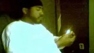 SEGRAMS SMOKE N