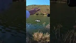 Ловля окуня на Texas Rig CRAW! #видеорыбалки
