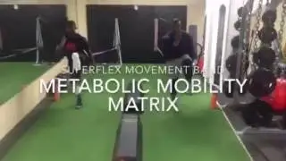 SuperFlex Fitness: Metabolic Mobility Matrix Workout