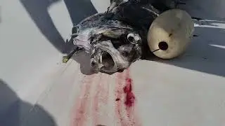 على الحدود