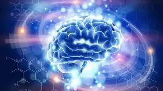&iexcl;Gran efecto!   M&uacute;sica para activar el l&oacute;bulo frontal (memoria, concentraci&oacute;n y activaci&oacute;n cerebral)