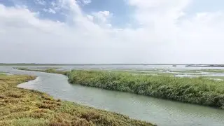 Ecological efforts turn once-barren desert into vibrant oasis in Xinjiang