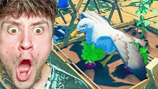 A bird is trying to steal my food!!! | Raft