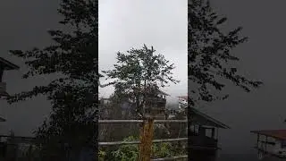 #nitsikkim #naturelovers  🏞️