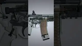 SIG MCX Gun work
