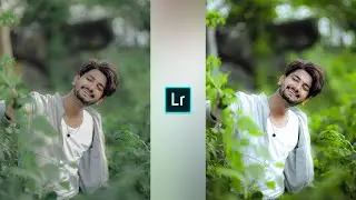 Lime green and grey tone Lightroom photo editing//Lightroom preset download free//