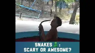 Snake Fail _Best Funny Moments And Danger  Fails