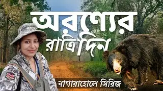 পায়ে হেঁটে জঙ্গল | Nagarahole Bird Survey 2023 |  Birds of Nagarahole National Park | Sloth Bear