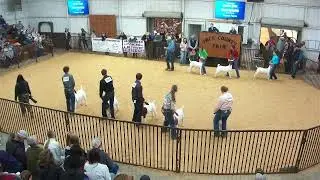 Goat Show 2026