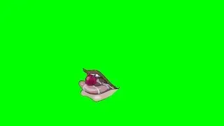 [Chroma Key] Kakyouin Noriaki &ldquo;RERO RERO&rdquo; (JoJo: Stardust Crusaders) - Green Screen