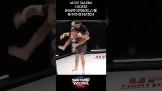 Andy Varela vs Sean Strickland No Gi JJ.                                        #sanctionedviolence
