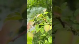 Озеро Горенжо Казбековский район