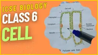 CLASS 6 ICSE Tutorial - CELL || Biology || Candid