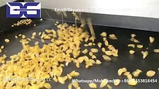 Extrusion Corn flakes maize flex breakfast cereal making extruder machinery