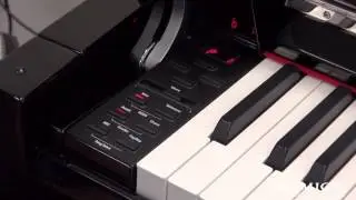 Samick Digital Ebony Neo Quick Start