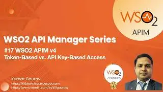 17. WSO2 APIM v4 - Token-based vs. APIKey Based Access