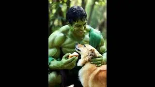 hulk help to animals
