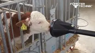Incredible modern farming milking harvest technology. Amazing automatic cow farming factory