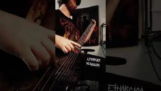 Lethargica - Meshuggah Bass Cover