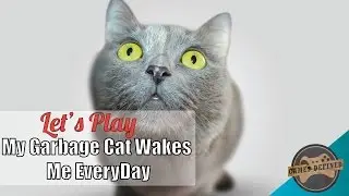 Indie Plays : My Garbage Cat Wakes Me Up At 3AM Every Day
