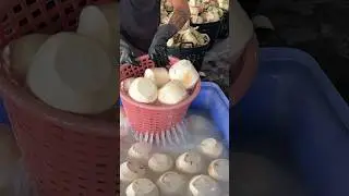 Amazing Coconut Packing Process! Big Scale Coconut Factory, Thailand #shorts