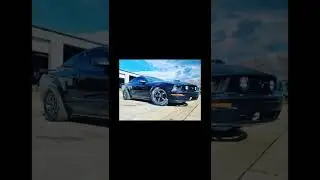 Mustang HEMI Predator!
