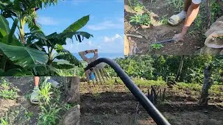 Start to use the thing that my subscribers gave me to weed up the farm 