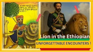 🔥Ethiopians Lion riders, Unforgettable Encounters, generational Friendship in Palace:Kings & people