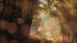 IMD 300 - Type in motion: The Path We Wander