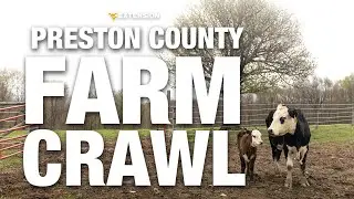 Experience the Preston County Farm Crawl 🧑&zwj;🌾 🚜