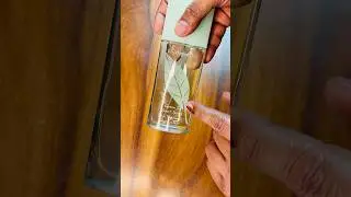 Elizabeth Arden Green Tea #perfume #fragrance #scent #unboxing