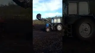 15 октября 2023 г.