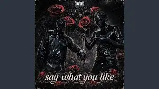 Say what you like (feat. Dasity the great)