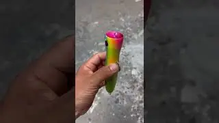 Popper | stick bait | lure | fishing | popping