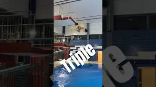 Triple gainer 1m.                                               #flip #flips #sport #sports #diving