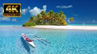 Ultra 4k 60fps Maldives video | Bird's eye view of Maldives - 4K VİDEOS