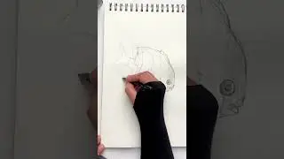 How to draw a damsel fish detail of longer lesson #shortvideo #sketch #fish #saltwater