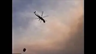 Biscuit fire 2003