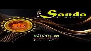Sanda Chinese Boxing / Martial Art / Yiting Wu Combat / Self Defense.
