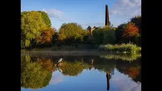 Walk around Bumblehole local nature reserve