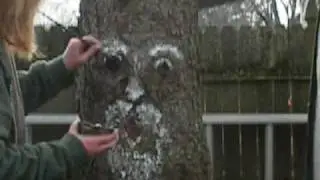 Painting a Face on a Tree.wmv