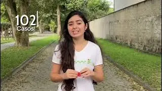 Febre tifoide 