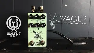 5 FAVORITE SETTINGS and MID CONTROLS on the VOYAGER MKII by Walrus Audio