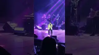 Elvis Presley em Curitiba | Dean Z em Elvis Experience #elvis #curitiba #elvispresley #show #live