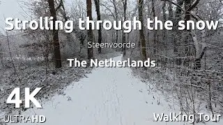 Strolling through the snow - Steenvoorde, The Netherlands (4K Ultra HD)