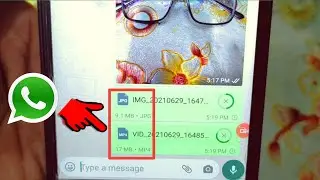 How to Send Original Quality Picture & Video on WhatsApp in 2023